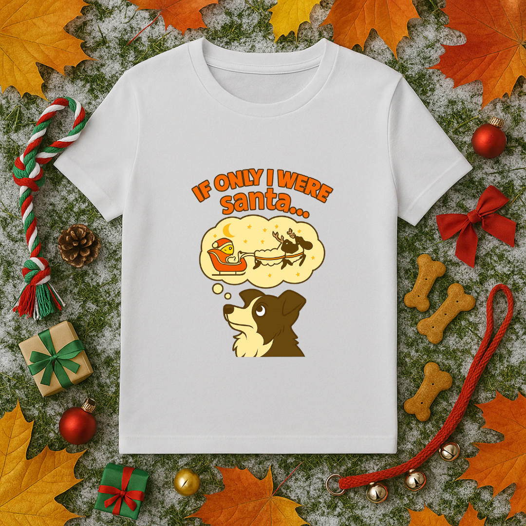 If Only I Were Santa