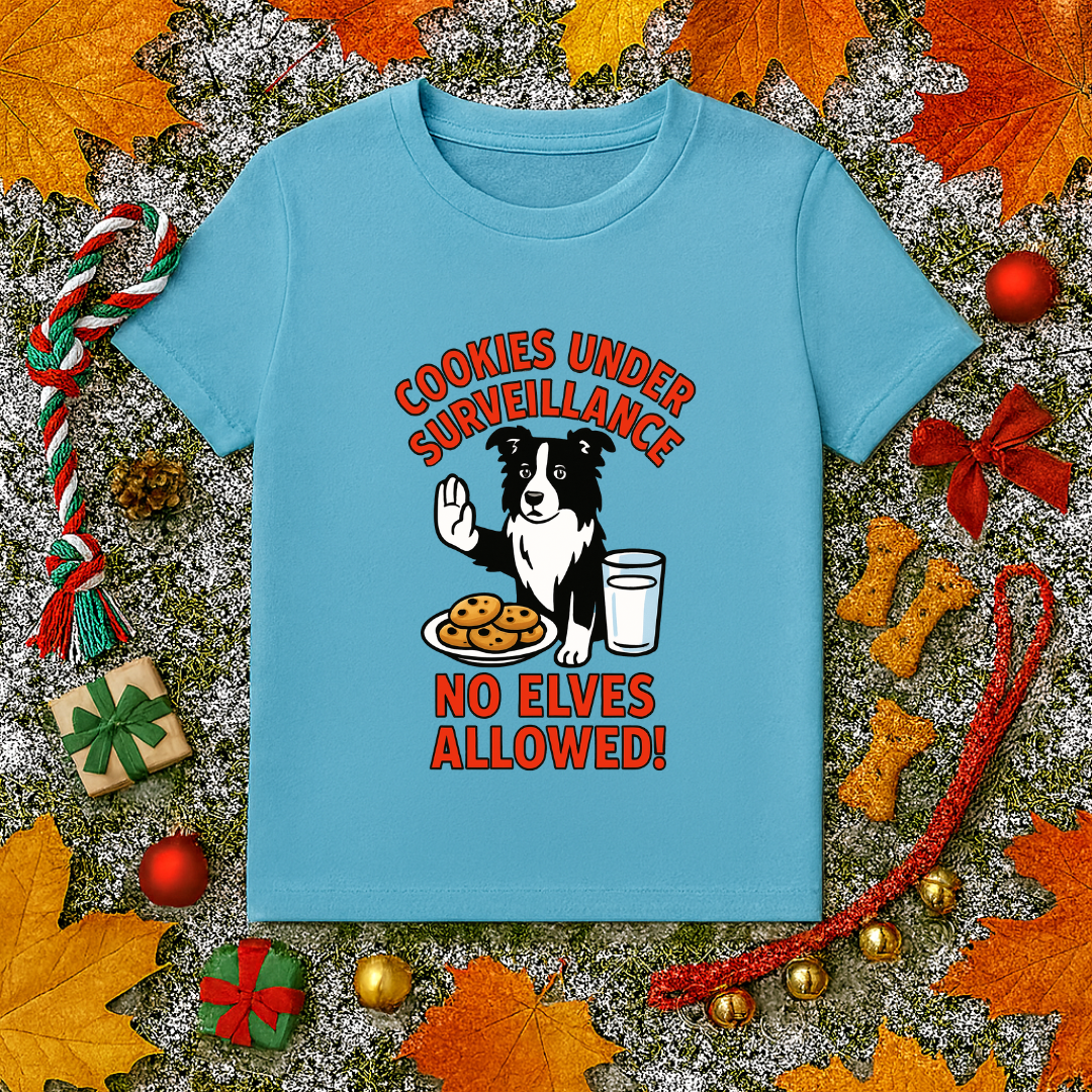 Border Collie Christmas