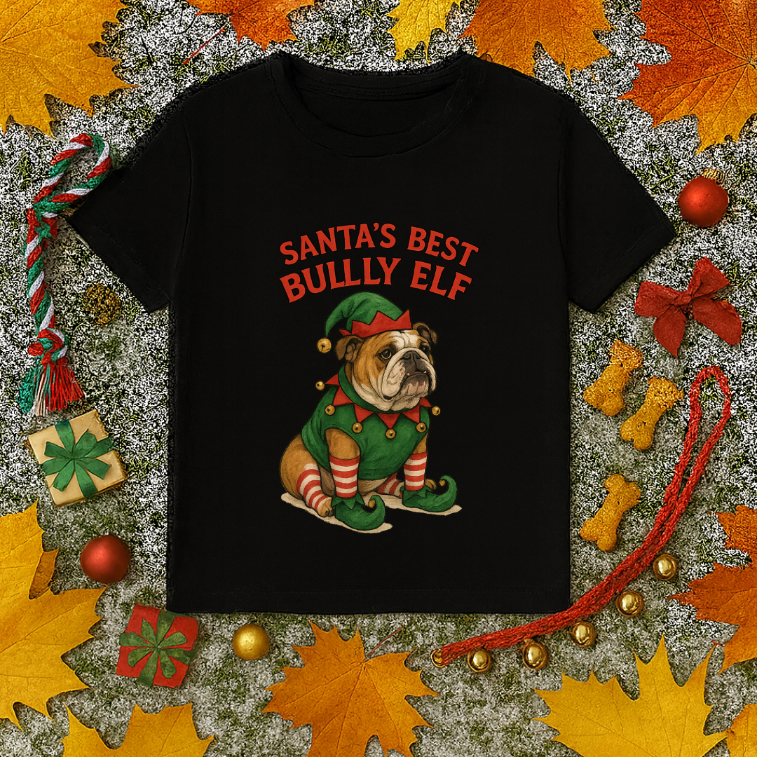 Santa's Best Bully Elf