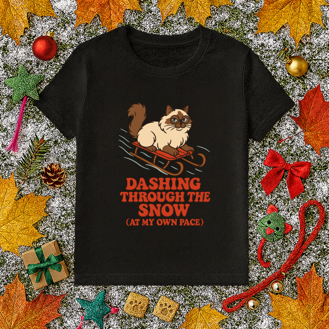 Dashing Through the Snow