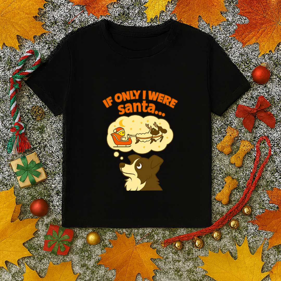 If Only I Were Santa