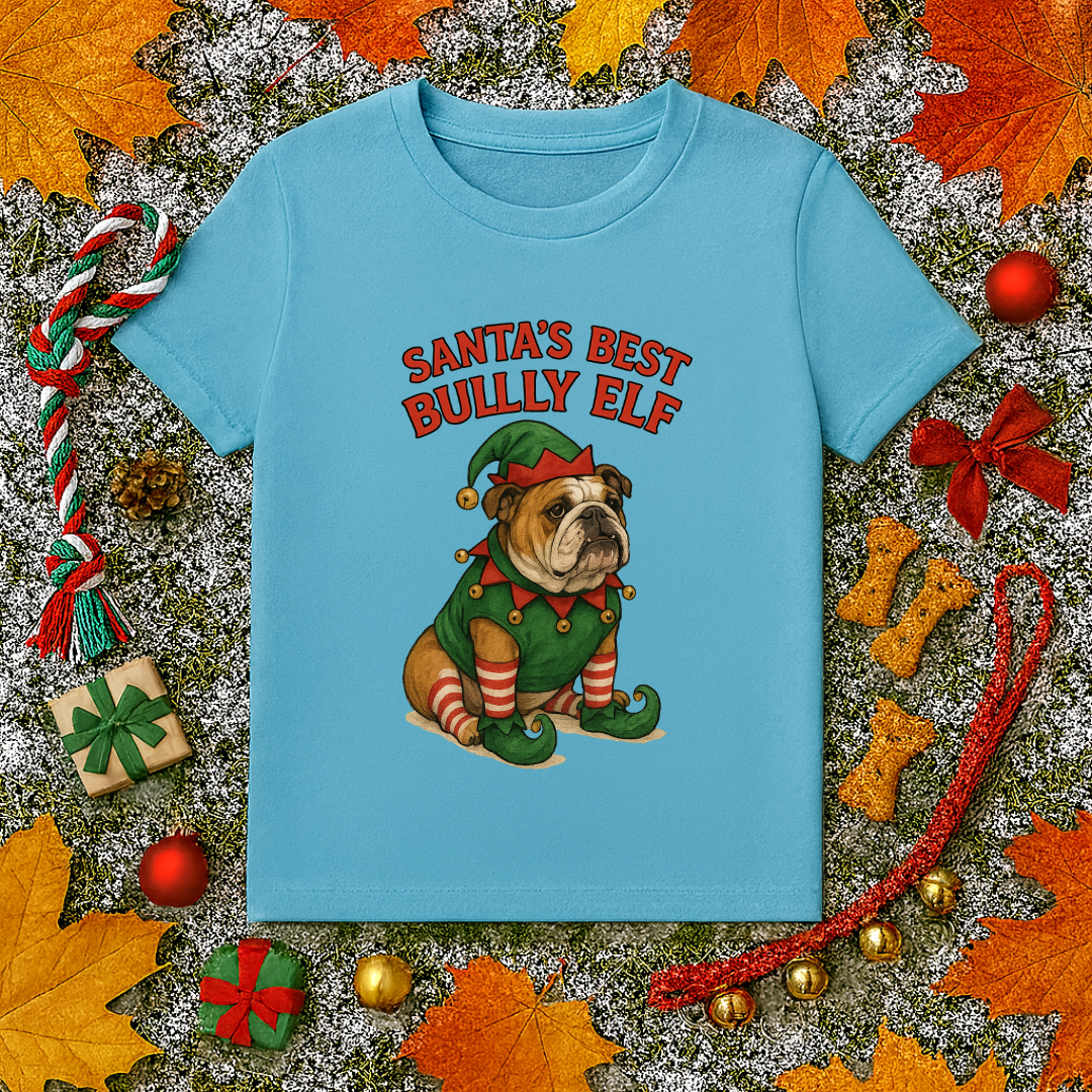 Santa's Best Bully Elf