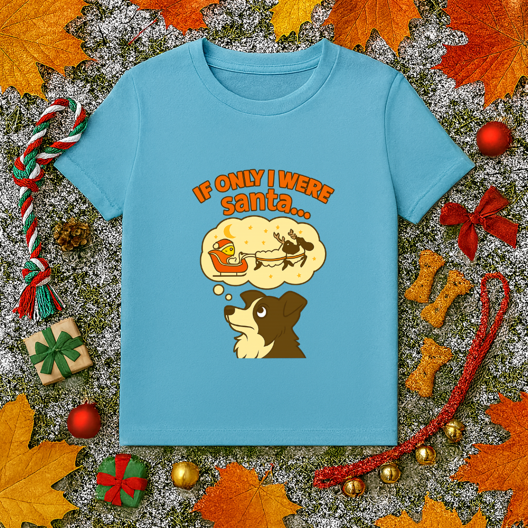 If Only I Were Santa