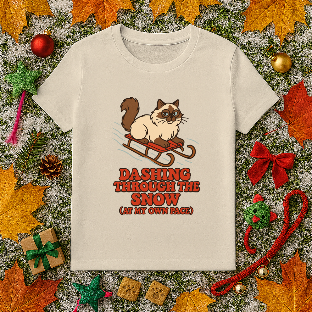 Dashing Through the Snow