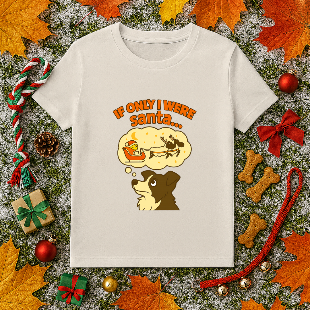 If Only I Were Santa