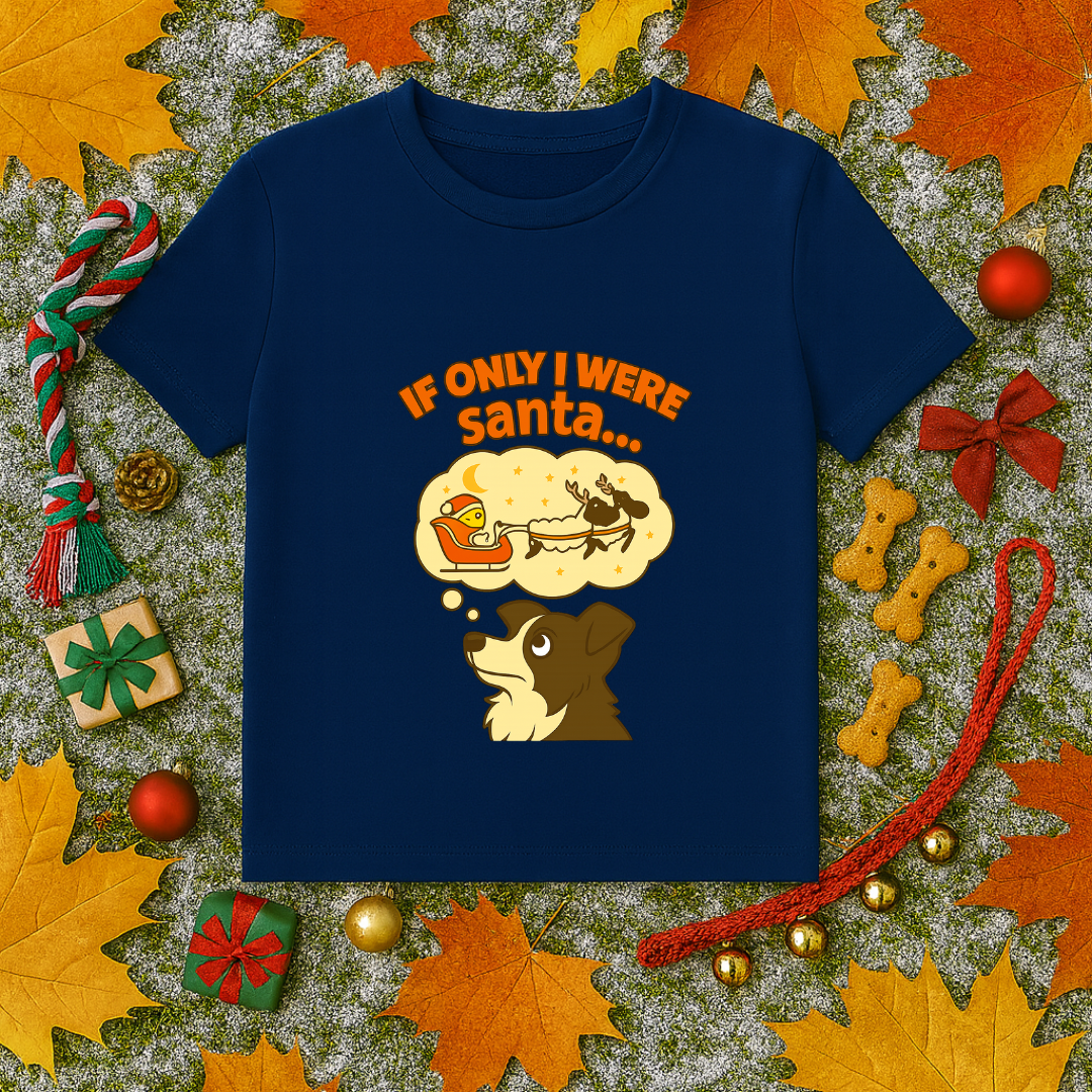 If Only I Were Santa