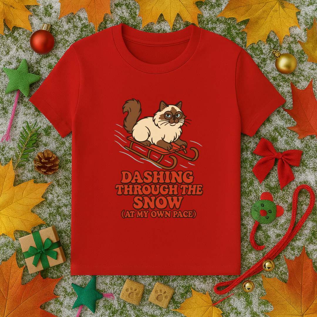 Dashing Through the Snow