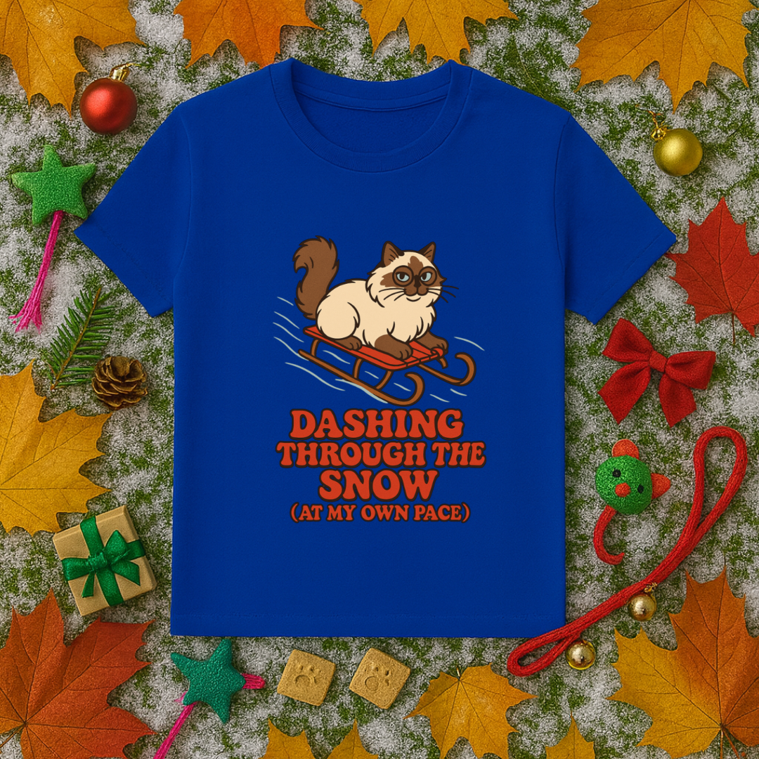 Dashing Through the Snow