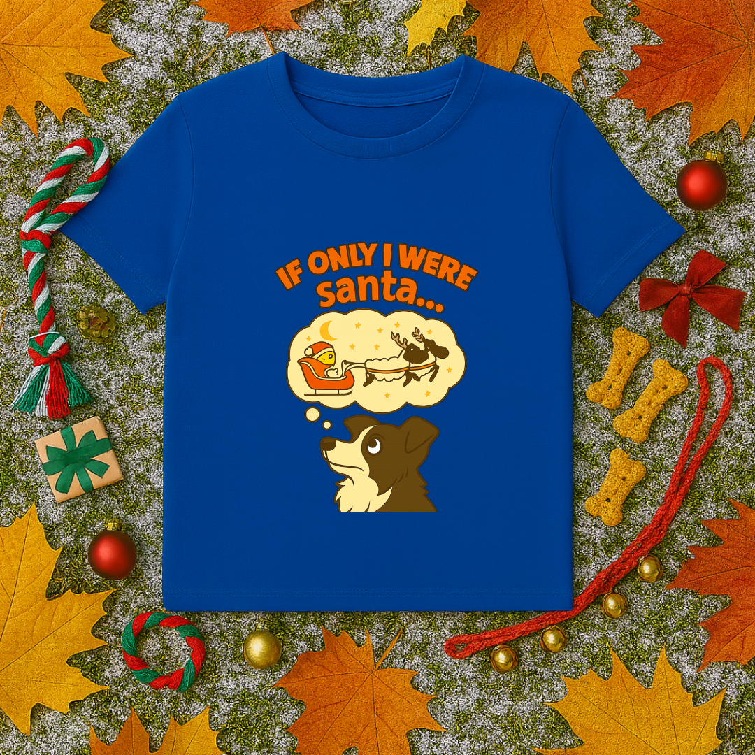 If Only I Were Santa