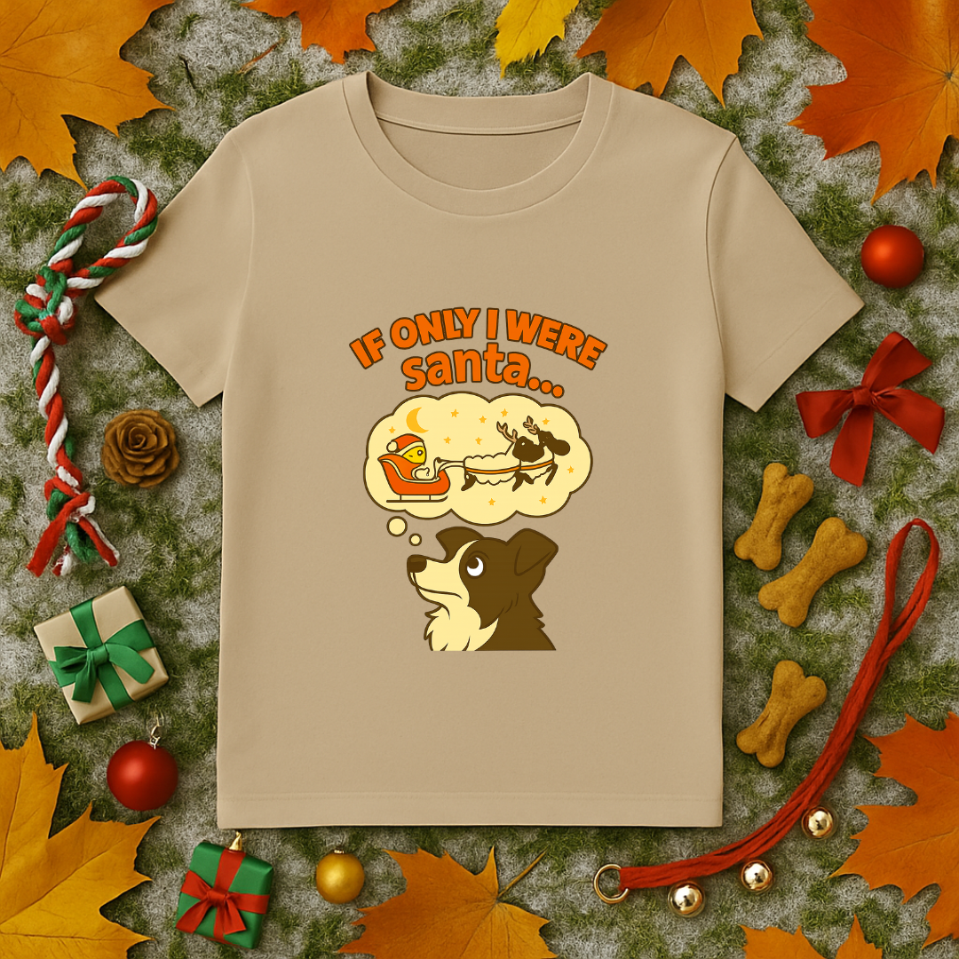 If Only I Were Santa