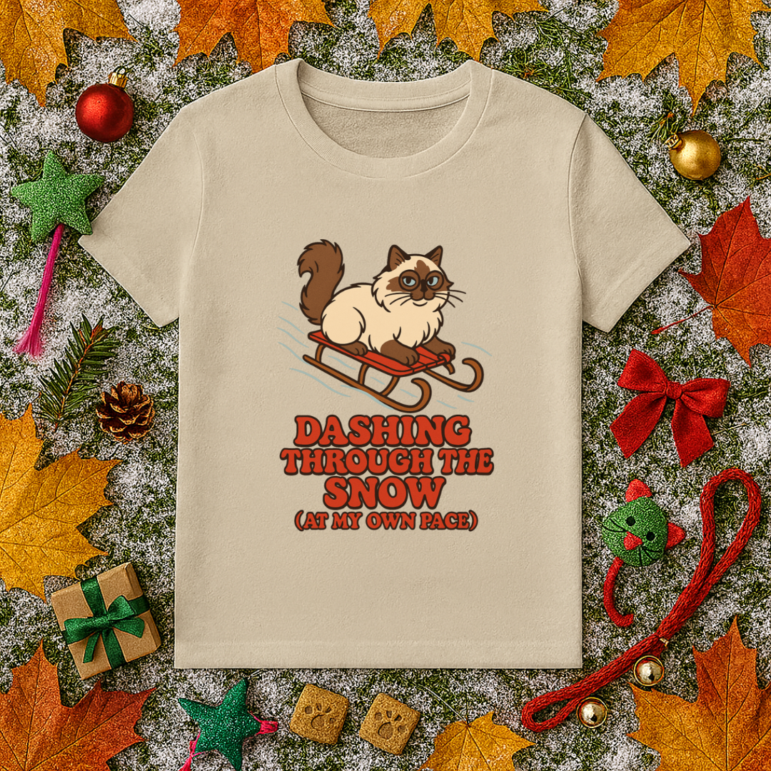 Dashing Through the Snow