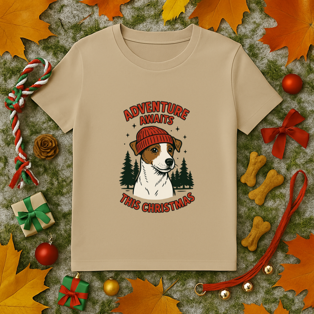 Adventure Awaits This Christmas