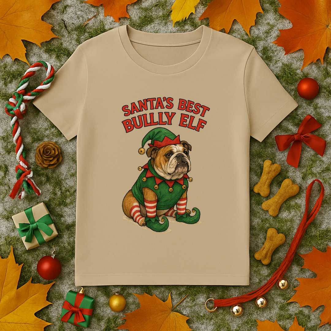 Santa's Best Bully Elf