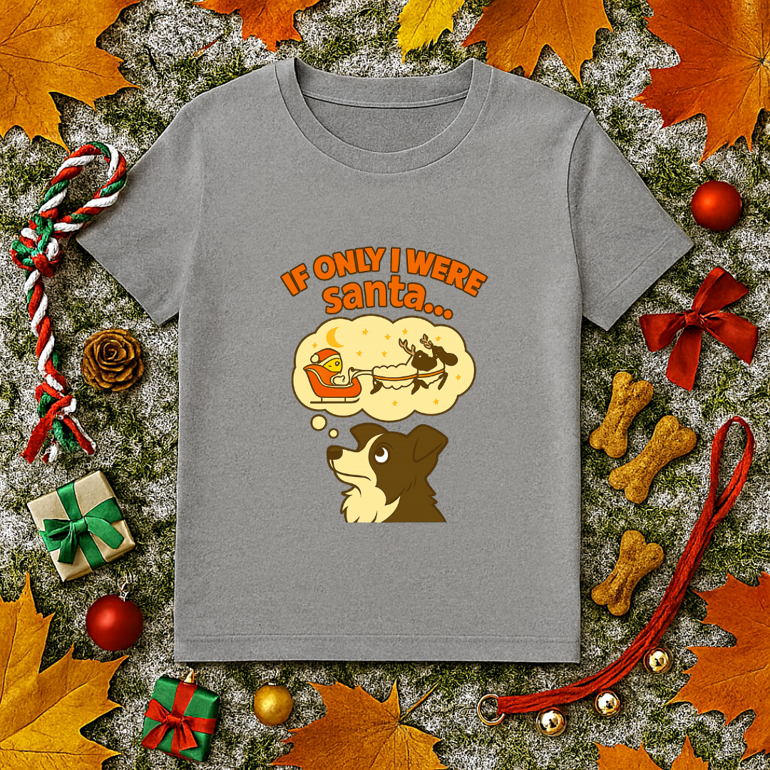 If Only I Were Santa