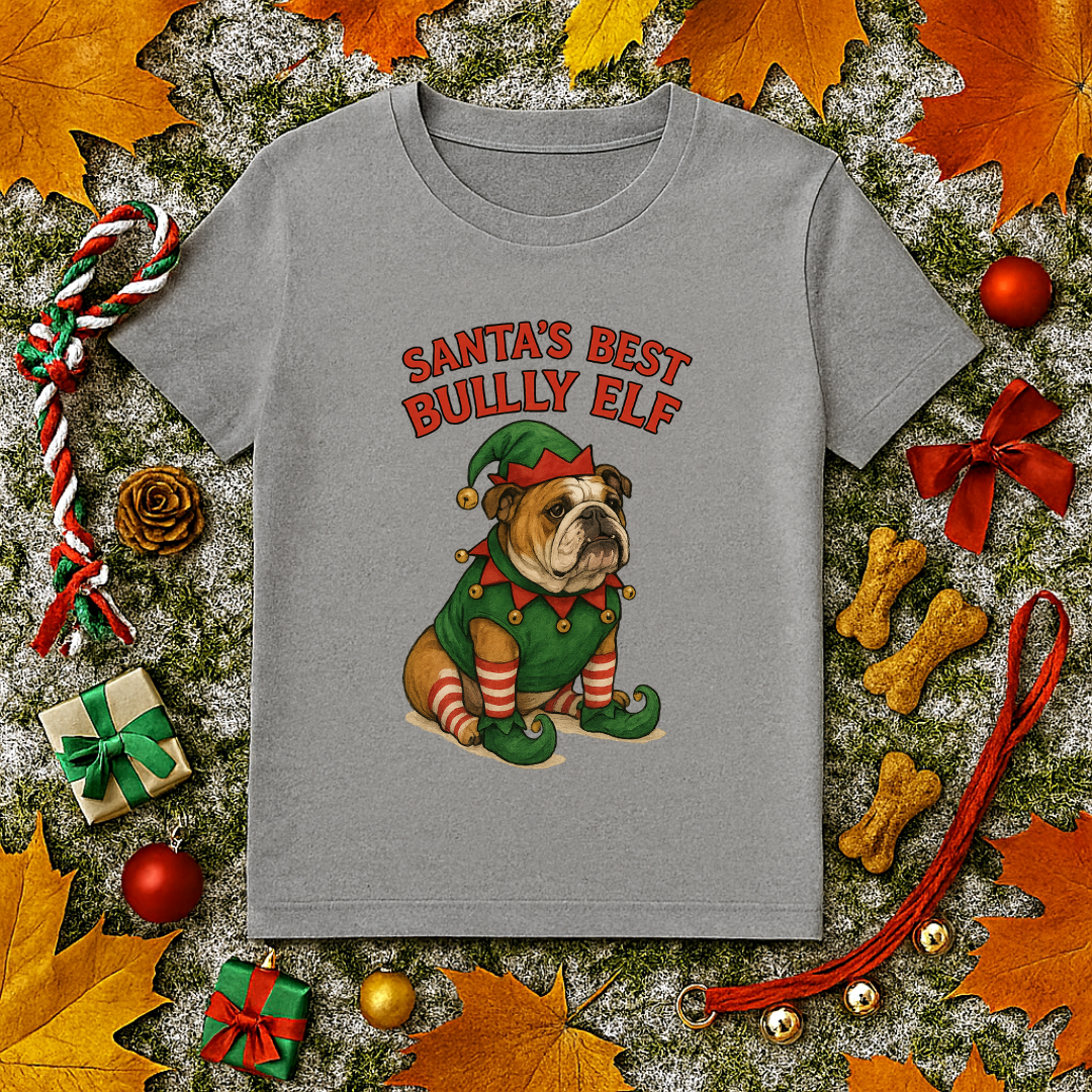 Santa's Best Bully Elf