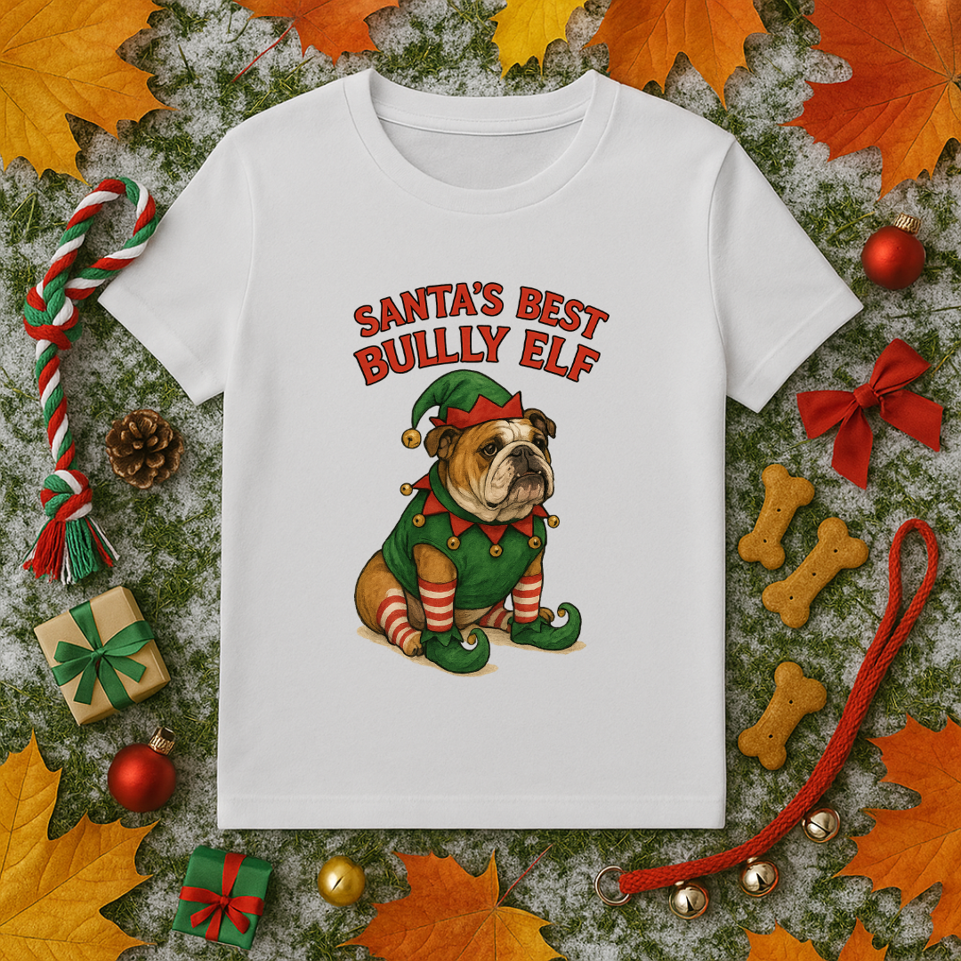Santa's Best Bully Elf