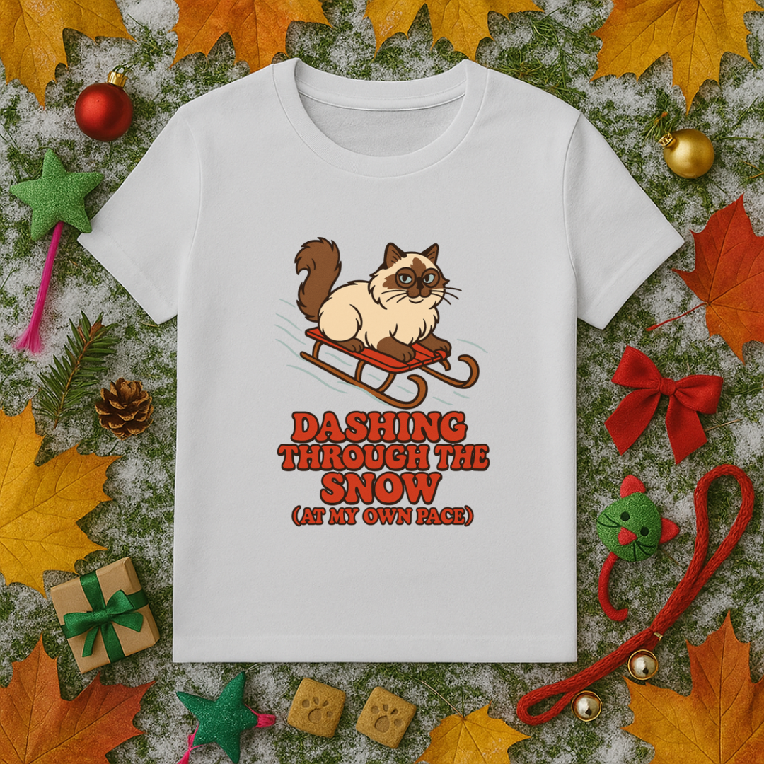 Dashing Through the Snow